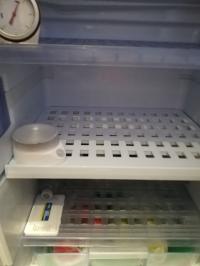 Photo by Colin From VIC. Apr 2024 - Lower Cabinet Shelf - Suits Dometic RMDX21 / RMDX25 Fridges