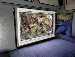Photo by Patrick From WA. Jul 2024 - Aussie Traveller EuroVision2 Window with Slimline Blind & Flyscreen - Black Frame / 550mm H x 900mm W