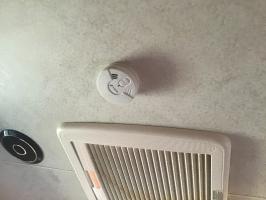 Photo by Ross From QLD. Jul 2024 - Ionisation Smoke Alarm with Hush