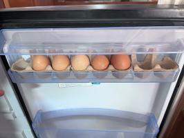 Photo by Sharyn From QLD. Oct 2024 - Upper Door Shelf & Cover - Suits Dometic RMD8501 / RMD8551 / RMD8555 Fridges