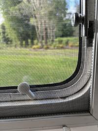 Oct 2024 - Knob Lock with Metal Plate - White - Suits Older Push-Out Windows