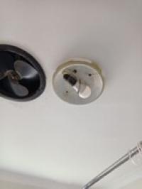 Photo by Marion From VIC. Oct 2024 - Replacement PVC Knob - Suits Oyster Lights