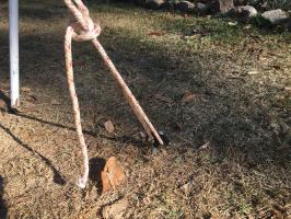 Photo by Kevin From QLD. Mar 2025 - Aussie Traveller Hard-Ground Screw-In Peg Kit - Black / 220mm - 15 Pack