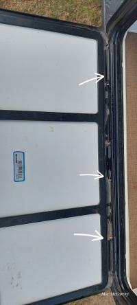Photo by Alan From VIC. Jul 2025 - Hinge Pin - 100mm / 1 Only - Suits Thetford Service Doors