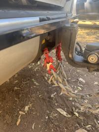 Photo by Peter From NSW. Aug 2025 - Mawby Hook Safety Chain Coupling Set - 13mm / 3.5 Tonne ATM / 2 Hooks & 2 Couplings