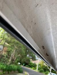 Photo by Alan From NSW. Sep 2025 - Pop-Top Extrusion Weather Seal - Black - Per Metre