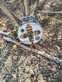 Photo by Anne. Feb 2026 - Flat Out Compact Multi-Reel - Grey - Suits Extension Leads & Flat Hoses