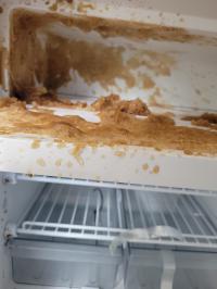 Photo by Lyle. The old fridge would only chill a drink on 12v & draw over 12 amps. The new one froze it in a couple of hours only using 3.8amps. Mar 2026 - Dometic NRX 60C Compressor Fridge / Freezer - 55L - 12V / 24V / 240V