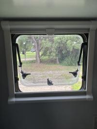 Photo by Brian From WA. May 2026 - Sanjo Push-Out Caravan Window with Blind - 900mm W x 900mm H