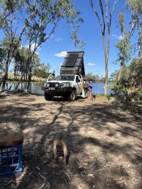Photo by Mads From QLD. May 2026 - Sphere Twin-Cell Fixed Solar Panel - 210W - 1480 x 670mm - Black Frame