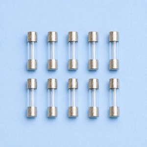 AC Fuse - 4A - 10 Pack - Suits Dometic CF / CFX Portable Fridges & CR Upright Fridges