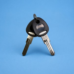 Blank Keys - Suits Coast 4-Point Doors