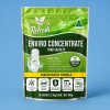 Coast RV Refresh Green 20 Pack Enviro Concentrate Tank Sachets