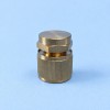 Brass Water Inlet Dust Cap - Single