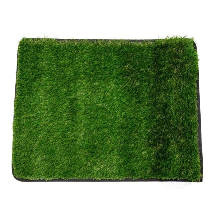 Xtend Outdoors Synthetic Grass XT Mat, 50x65cm CaravansPlus