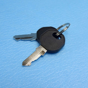 Replacement Key Pair - Code A12 - Suits Coast Access Door Locks with Recessed Handles