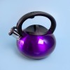 Whistling Kettle - 2.5 Litre - Purple